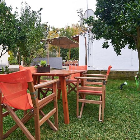 Sunset Studios - Suites With Seaview & Back Side Apartements Toroni Ngoại thất bức ảnh